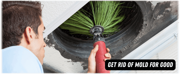 Air Duct Mold Removal in Boca Raton
