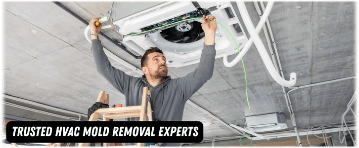 HVAC Mold Removal Boca Raton